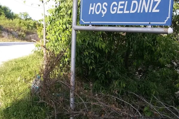 Polis Hatıra Ormanı - Resim 16