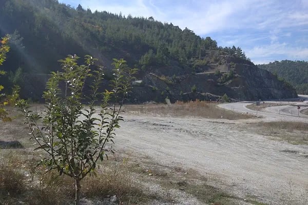 Polis Hatıra Ormanı - Resim 5