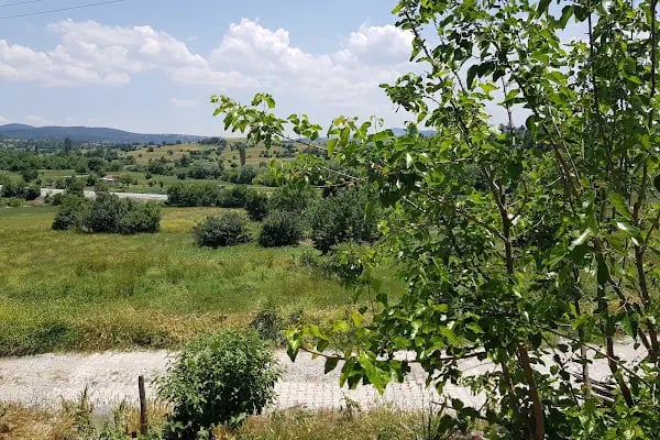 Polis Hatıra Ormanı - Resim 18