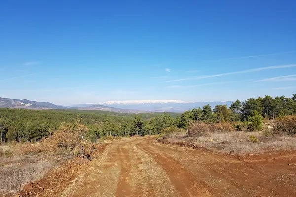 Polis Hatıra Ormanı - Resim 3
