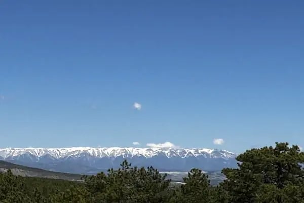 Polis Hatıra Ormanı - Resim 9