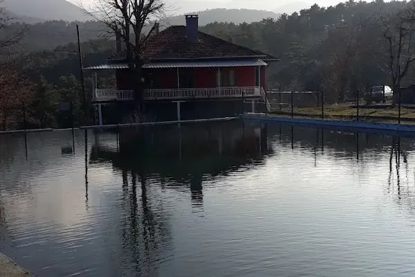 Polis Hatıra Ormanı - Resim 8