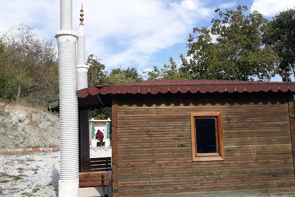 Polis Hatıra Ormanı - Resim 11