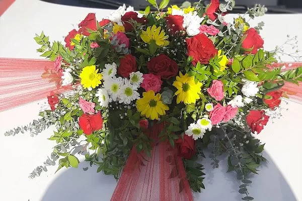 Gardenya çiçekevi - Resim 5