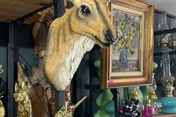 BodrumHerTeldenShop - Resim 13