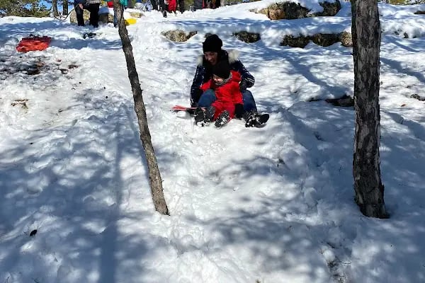 Yeni Orman Okulu (YORA) | Konya Anaokul - Resim 4