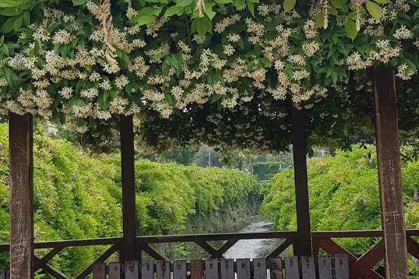 Başak Çocuk Parkı - Resim 17