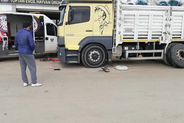Mollast oto lastik yol yardım - Resim 18