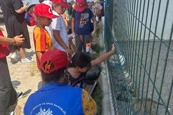 Aksu Belediyesi Veteriner işleri Müdürlüğü - Resim 10