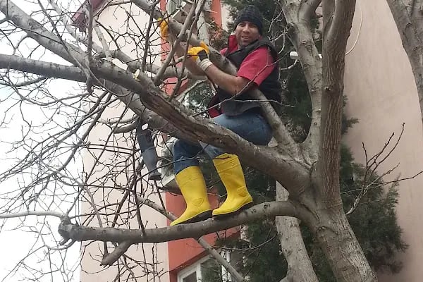 Şehit Jandarma Er Yakup Saraç Parkı - Resim 4