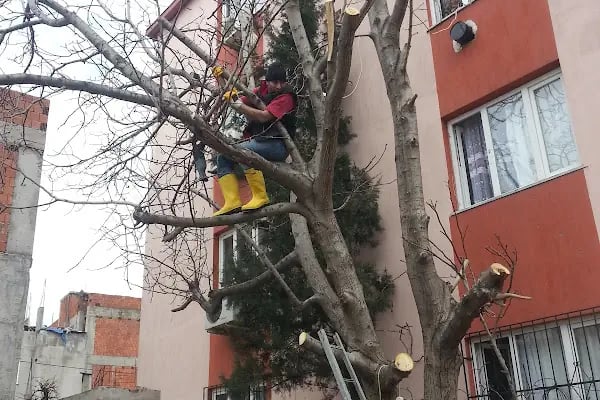 Şehit Jandarma Er Yakup Saraç Parkı - Resim 3