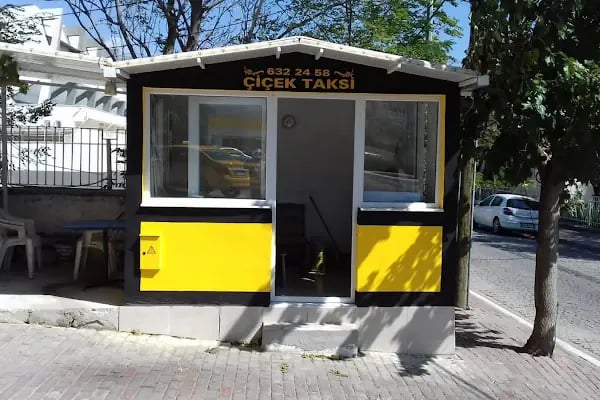 Bergama Taksi Çiçek Taksi - Resim 5
