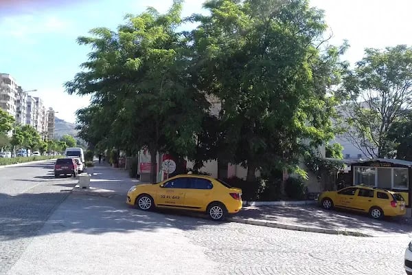 Bergama Taksi Çiçek Taksi - Resim 11