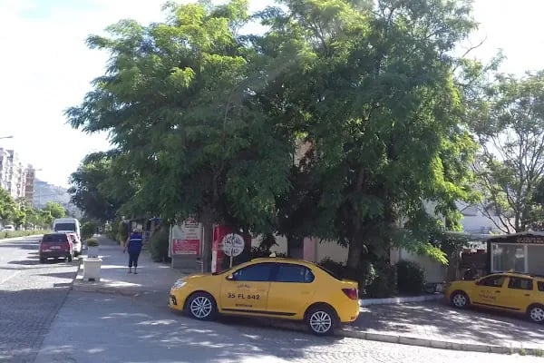 Bergama Taksi Çiçek Taksi - Resim 7