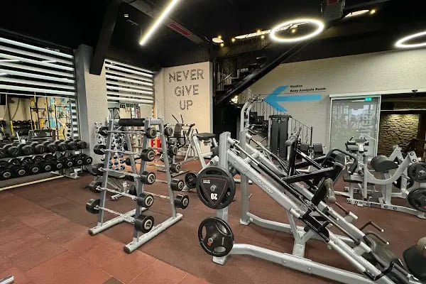 Vois Hotel Ataşehir &amp; SPA - Resim 3