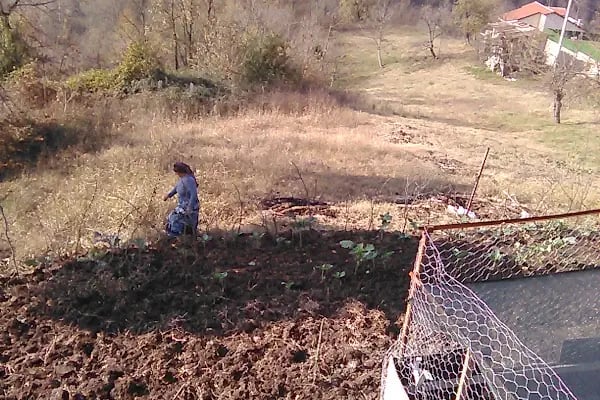 YENİKÖY KİRAZLIKENT KONUTLARI SİTE YÖNETİMİ - Resim 6