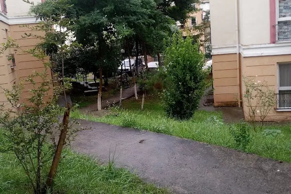 YENİKÖY KİRAZLIKENT KONUTLARI SİTE YÖNETİMİ - Resim 11