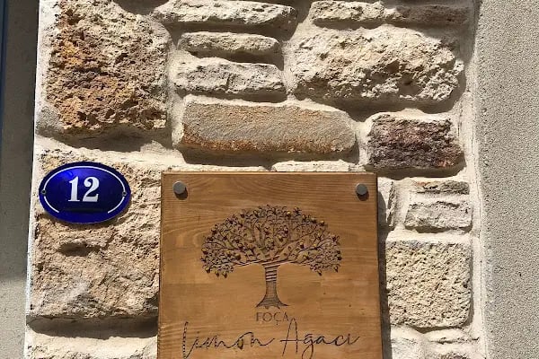 Foça Limon Ağacı - Resim 7