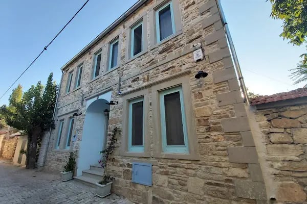 Foça Limon Ağacı - Resim 1