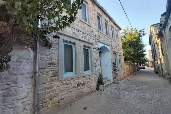 Foça Limon Ağacı - Resim 16