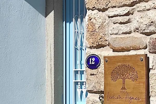 Foça Limon Ağacı - Resim 19