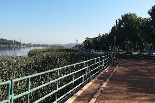 Birecik Ziraat Odası - Resim 7