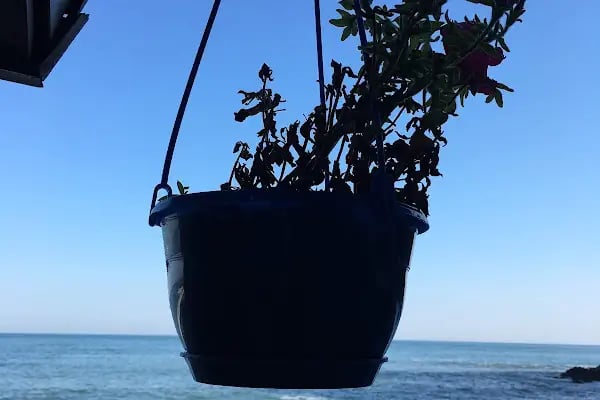 Kale Aile Plajı - Resim 16