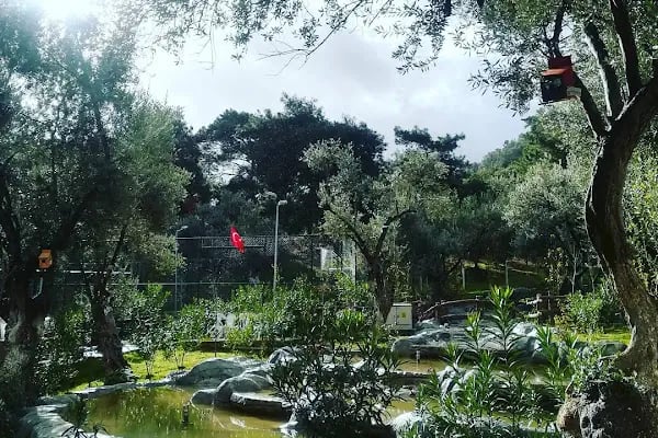 Havuzlu Park 2 Cafe - Resim 9
