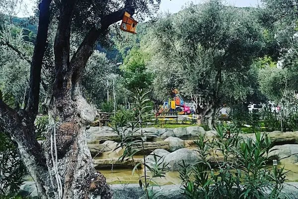Havuzlu Park 2 Cafe - Resim 19