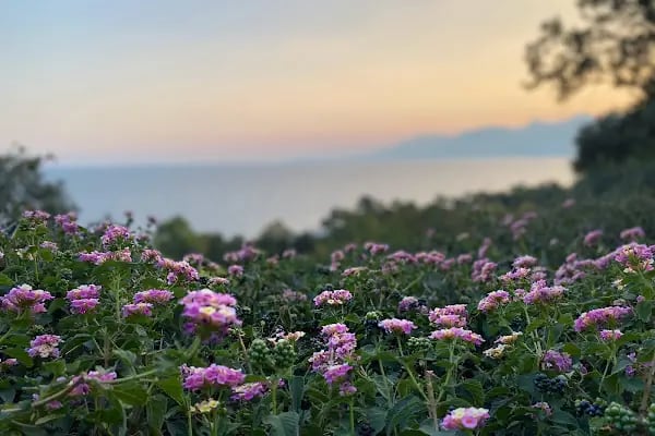 Antalya Psikoloji - Resim 7