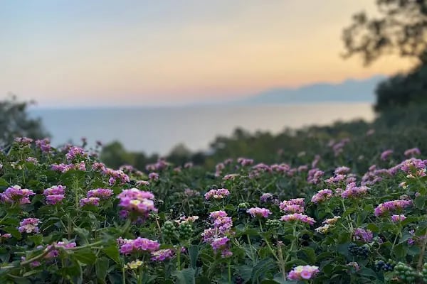 Antalya Psikoloji - Resim 13