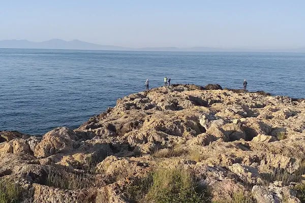Gümüldür Orman Kampı - Resim 12