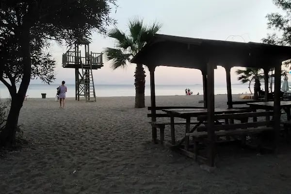 Gümüldür Orman Kampı - Resim 17