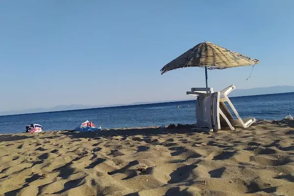 Gümüldür Orman Kampı - Resim 5