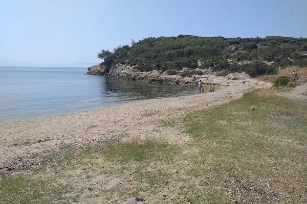 Gümüldür Orman Kampı - Resim 6