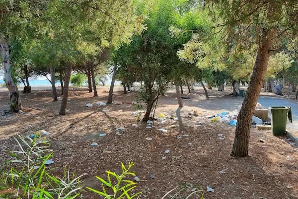 Gümüldür Orman Kampı - Resim 3
