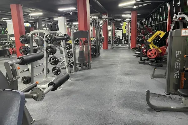 Elite Spor Gym - Resim 18
