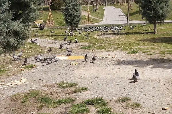 Telsizler İlkokulu - Resim 5