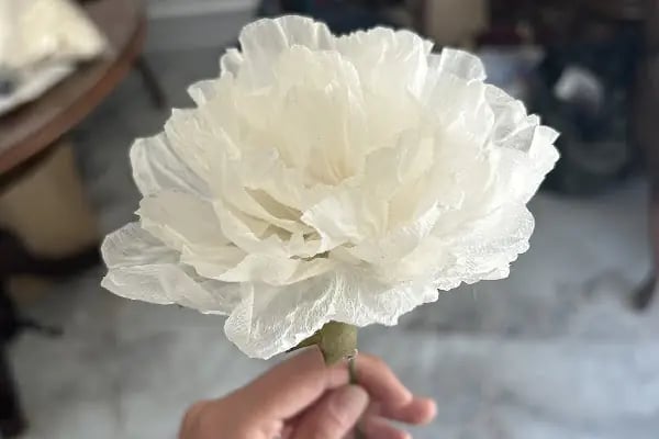 Ayşenur Koza Sanat Atölyesi - Resim 12