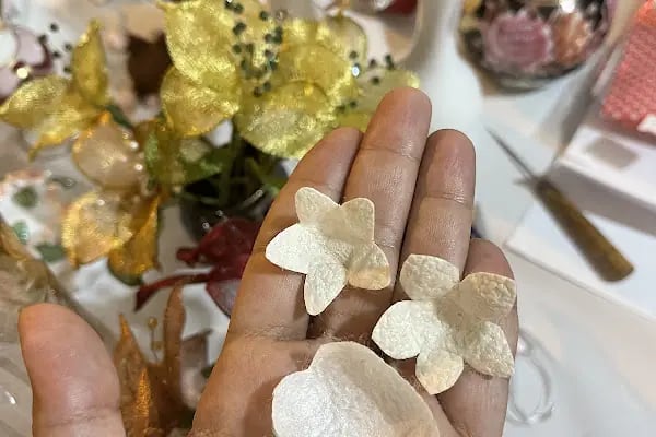 Ayşenur Koza Sanat Atölyesi - Resim 6