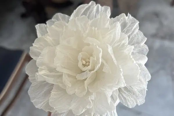Ayşenur Koza Sanat Atölyesi - Resim 14