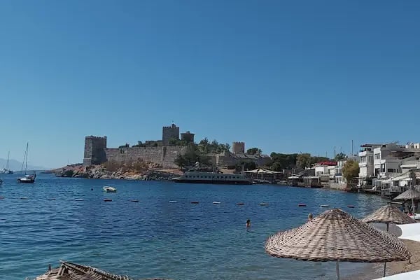 Bodrum MultiCar - Resim 2
