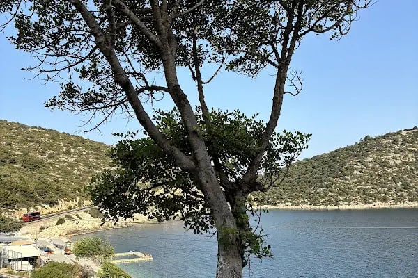 Gökliman Camping - Resim 3