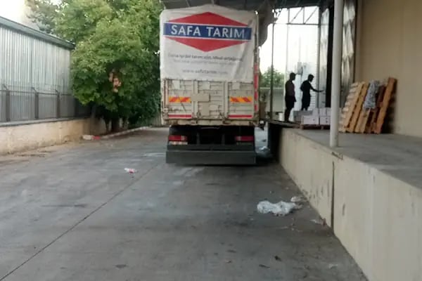 safa tarim antalya - Resim 1