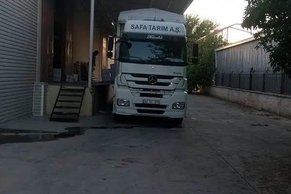 safa tarim antalya - Resim 2