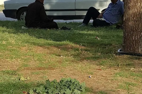 Cuma Koç parkı - Resim 6