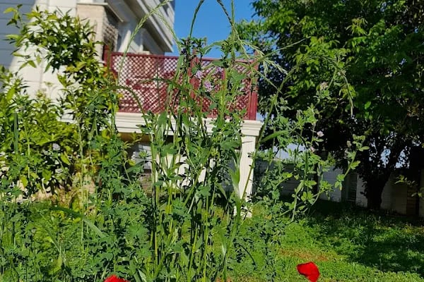 villa dream antalya - Resim 12