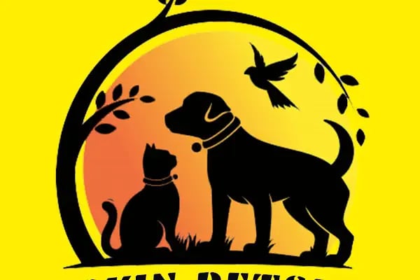 Taşkın Petshop - Resim 8