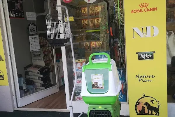 Taşkın Petshop - Resim 11