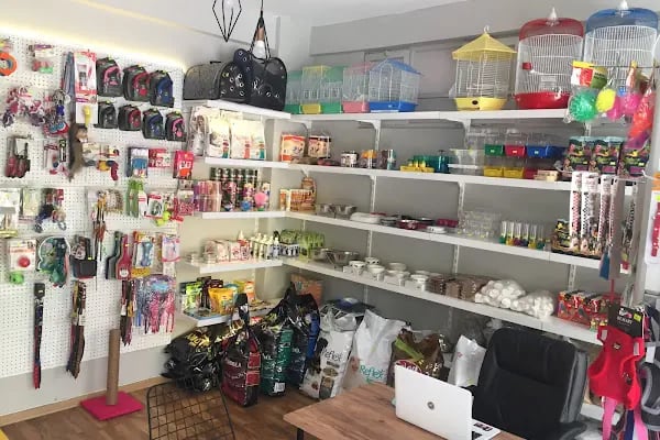 Taşkın Petshop - Resim 2